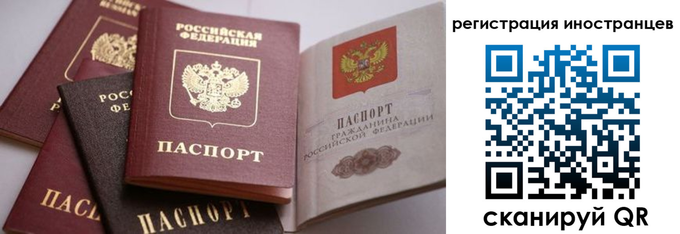 прописка штамп в Ельне