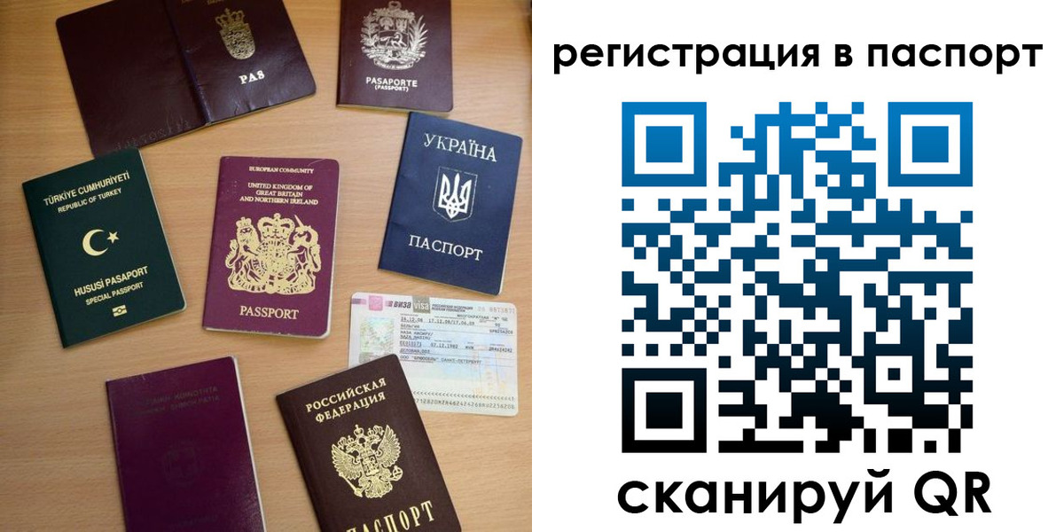 прописка поиск в Ельне